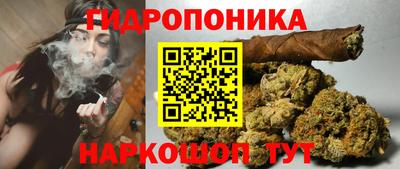 бошки Долгопрудный
