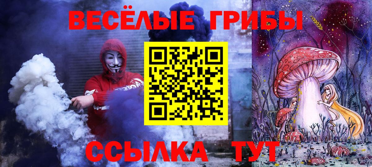 Галлюциногенные грибы Psilocybine cubensis  где продают наркотики  Губкинский  Вход с VPN 