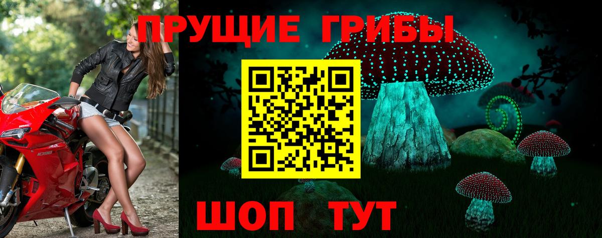 Псилоцибиновые грибы Magic Shrooms Губкинский